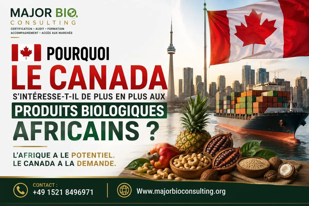 🇨🇦 Pourquoi le Canada s’intéresse-t-il de plus en plus aux produits biologiques africains ?